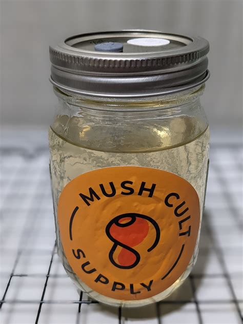 Mgaic mushroom liquid cultire for sale